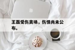 双赢平台app下载-王磊受伤离场，伤情尚未公布。